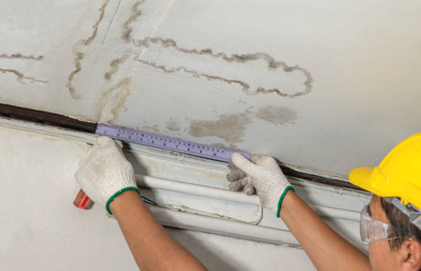 Reliable Mold Remediation contractor in Lowell, MA by Water Damage Irwin